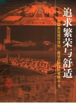 追求繁荣与舒适  中国典型城市规划、建设与管理的策略  第2版