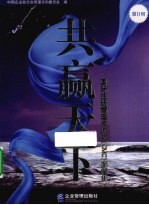 共赢天下  国际注册<em>管理</em>咨询师(cmc)<em>案例</em><em>集</em>  第2辑