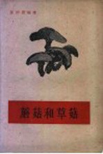<em>蘑菇</em>和草菇