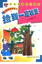 捡到一座城堡  超级<em>智慧</em>童话