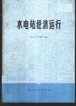 水电站经济运行