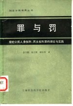 罪与罚  侵犯公民人身权利、民主权利罪的理论与实践