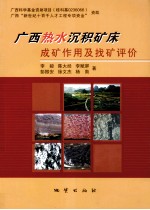 广西<em>热水</em>沉积矿床成矿作用及找矿评价