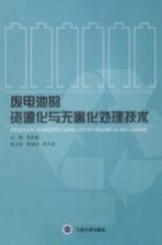 废电池的资源化与无害化处理技术