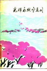 光辉<em>永</em>照宁夏川