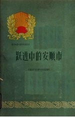 跃进中的<em>安顺</em>市