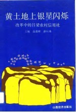 黄土地上银星闪烁  改革中的吕梁农村信用社