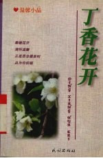 丁香花开  温馨小品