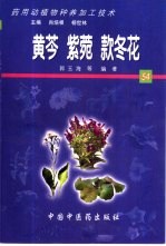 药用动植物种养加工技术  54  黄芩  紫菀  款冬花