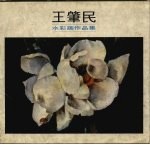 <em>王肇</em>民水彩画作品集