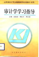 审计学学习指导
