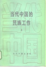 <em>当代</em>中国的民族工作  上