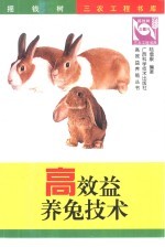 高效益<em>养兔</em>技术