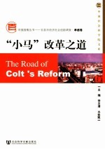 “小马”改革之道  孝感卷