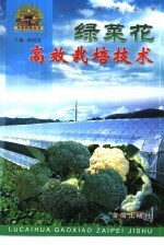 绿菜花高效栽培<em>技术</em>