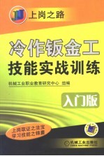 冷作钣金工技能实战训练  入门版