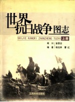 世界抗日战争图志  上