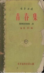 青春集