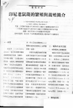<em>印尼</em>老鼠斑的繁殖与养殖简介