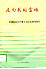 走向共同富裕  发展壮大农村集体经济实践与探讨