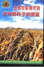 怎样检验和识别农作物种子的<em>质量</em>