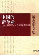 中国的新革命  1980-2006年，从中关村到中国社会
