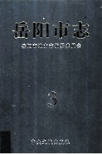 岳<em>阳市</em>志  3