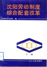 <em>沈阳</em>劳动制度综合配套改革  下