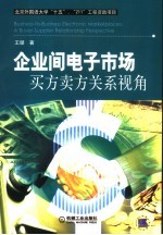 企业间电子市场  买方卖方关系视角