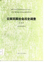 云南回族社会历史调查  3