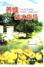 养蜂技术指导