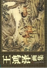 <em>王</em>鸿泽画集