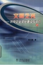 文明之光  供电企业文化建设与评价