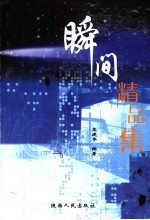 瞬间精品集  榆林市获奖新闻选评