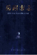 岳<em>阳市</em>志  2
