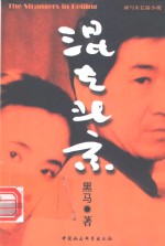 混在北京  新写实长篇小说