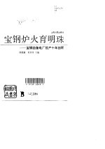 宝钢炉火育明珠  宝钢自备电厂投产十年回顾