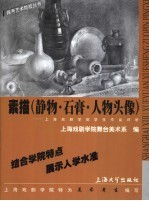 素描  静物·石膏·人物头像  上海戏剧<em>学院</em>学生作品评析