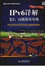 IPv6详解：卷2·高级协议实现