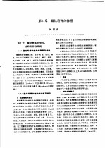 机修手册  第<em>3</em>卷  金属切削机床修理  第4篇  精密及大（重）型机床的修理  第21章  螺纹磨床的修理  下