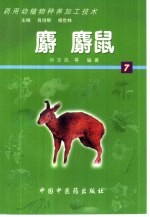 药用动植物种养加工技术  7  麝  麝鼠