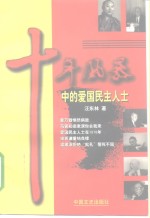 十年风暴中的爱国民主人士