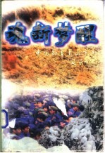 魂断梦醒  中国知青上山下乡<em>风云</em><em>纪实</em>