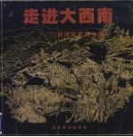 走进大<em>西南</em>  <em>西南</em>风情写生集