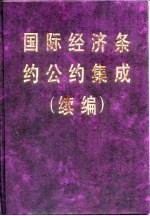 国际经济条约公约集成  续编