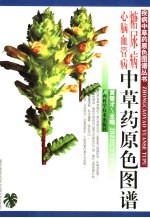 糖尿病心脑血管病<em>中<em>草药</em></em>原色图谱