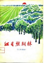 红日照桐林  兰考诗集