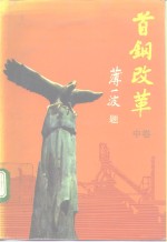 首钢改革  中
