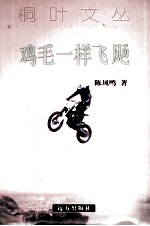 桐叶文丛  鸡毛一样飞飏  中国飞车王故事