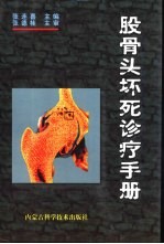 股骨头坏死<em>诊疗</em><em>手册</em>